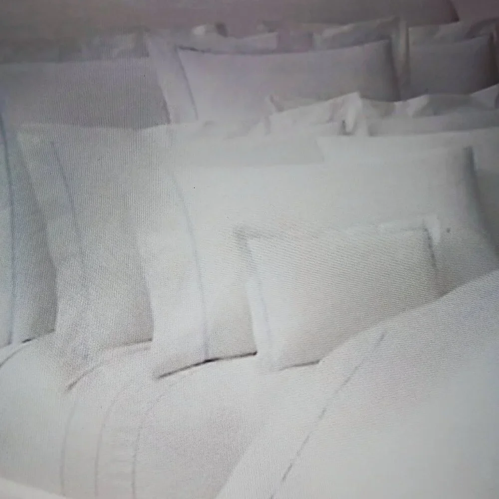 Ralph Lauren Palmer Percale Two Standard Size Pillowcases NWT